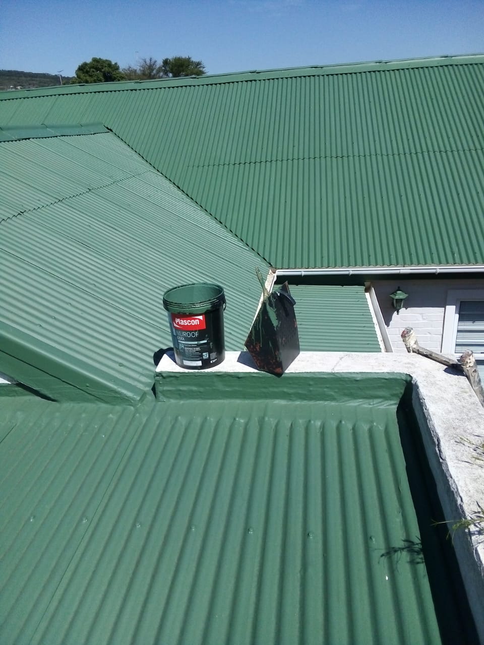 Freshly green Nuroof-coated corrugated roof with the paint bucket still on the ridge